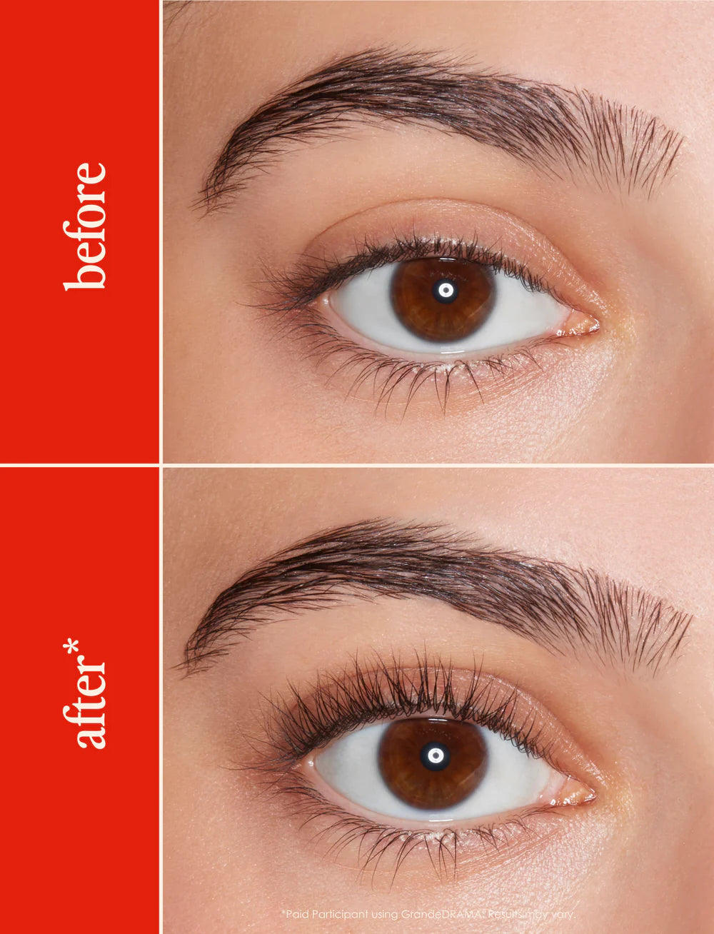 Heated Lash Curler