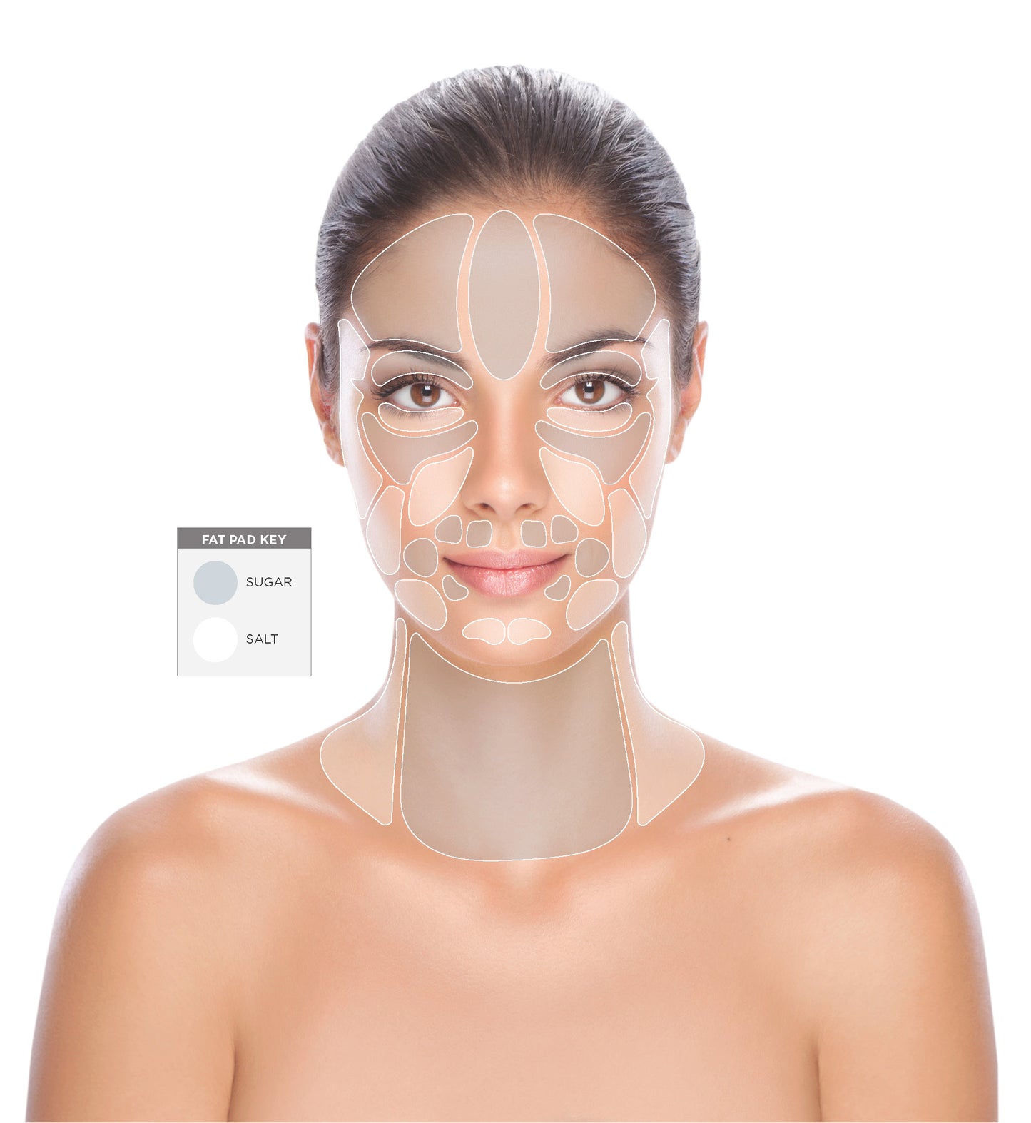 Osmosis Recovery- PREBIOTIC, OMEGA & FAT PAD RENEWAL
